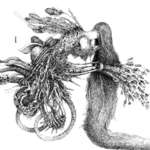 Disegno a china di Francesco Calcagnini: una figura femminile dai capelli lunghissimi stringe un mazzo di forme vegetali e meccaniche.