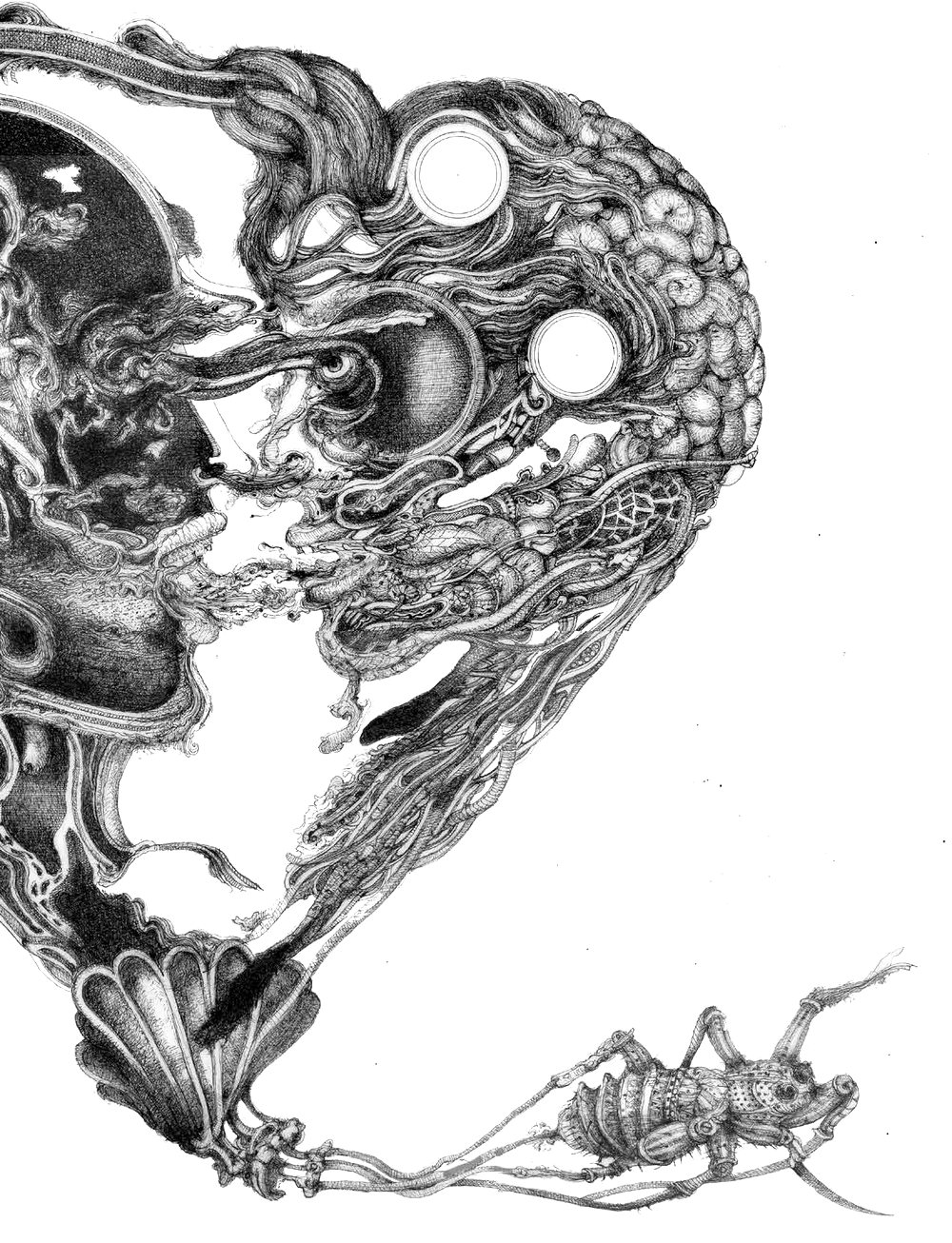 Disegno a china: una grande forma a cuore composta da organi, tubi e gusci, con un insetto ai suoi piedi.