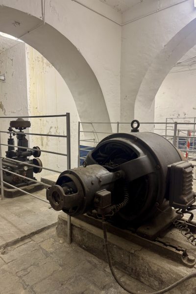 Pagliardini_3